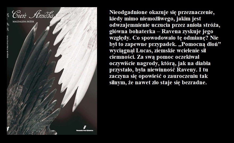 Cień anioła - Magdalena Bożek